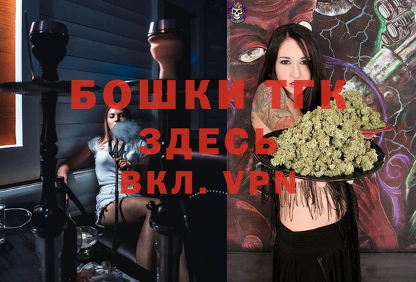 PSILOCYBIN Богородицк