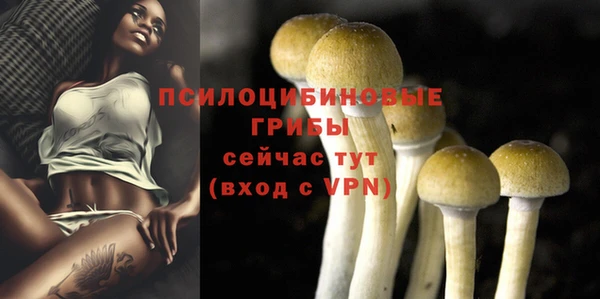 PSILOCYBIN Богородицк