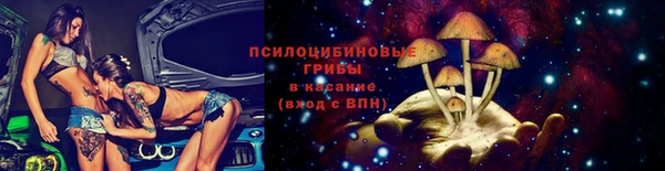 PSILOCYBIN Богородицк