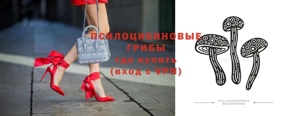ешки Богданович