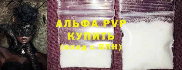ешки Богданович