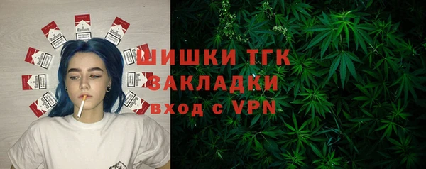 PSILOCYBIN Богородицк