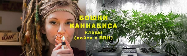 PSILOCYBIN Богородицк