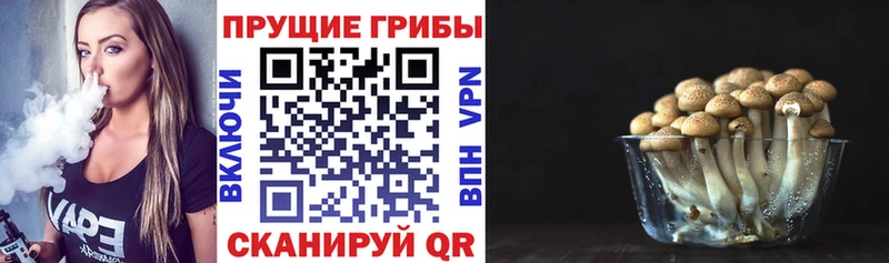 Галлюциногенные грибы мухоморы  сколько стоит  Великий Новгород 